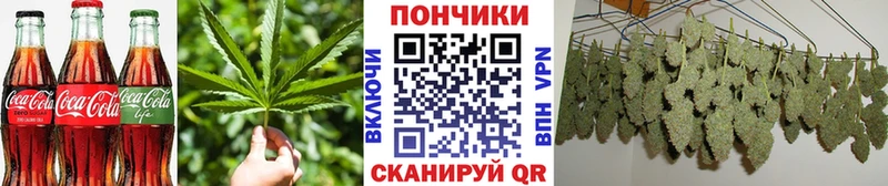 Cannafood конопля Кохма