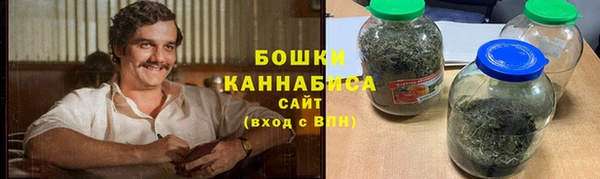 дживик Надым