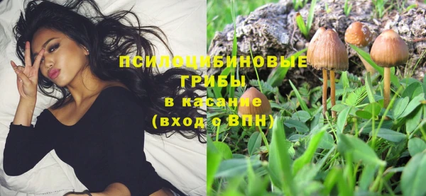 гидропоника Бикин