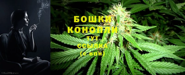 спиды Нефтекумск