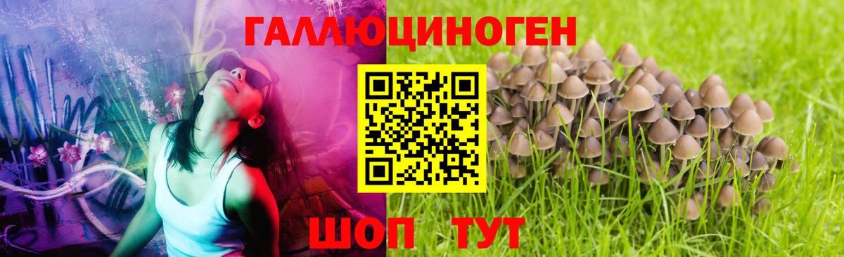 Псилоцибиновые грибы MAGIC MUSHROOMS Кохма
