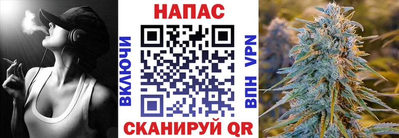 Конопля сатива  kraken tor  Кохма 